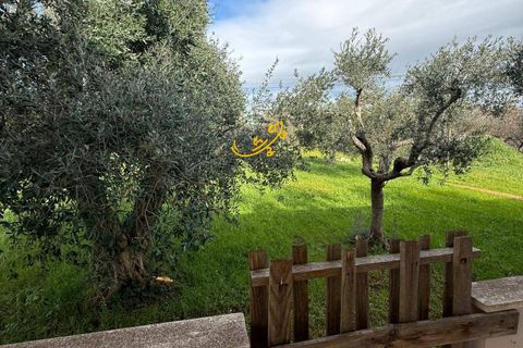 Villa i Monopoli, Bari, Monopoli - € 260.000 | Ref: R 541 - foto 18