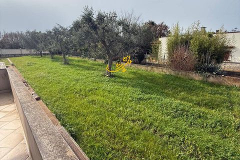 Villa i Monopoli, Bari, Monopoli - € 260.000 | Ref: R 541 - foto 19