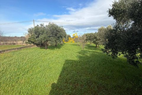 Villa i Monopoli, Bari, Monopoli - € 260.000 | Ref: R 541 - foto 20