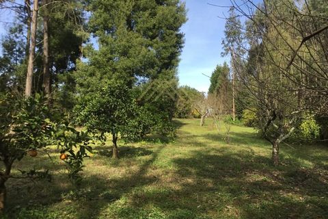 Villa i Pedroso, Porto, Pedroso - € 695.000 | Ref: X88 - foto 17
