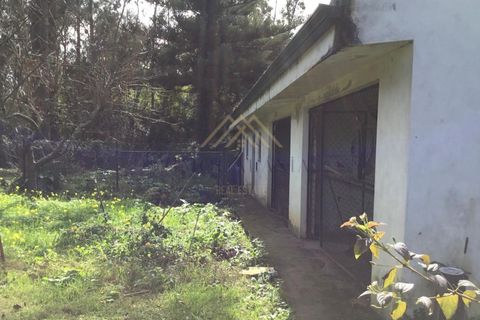 Villa i Pedroso, Porto, Pedroso - € 695.000 | Ref: X88 - foto 18