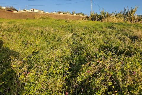 Helårsgrund i Calheta, Madeira, Calheta - € 1.900.000 | Ref: Terreno Arco da Calheta RS006 - foto 8