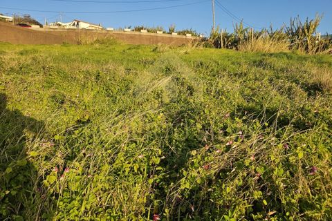 Helårsgrund i Calheta, Madeira, Calheta - € 950.000 | Ref: Terreno Casa das Mudas RS004 - foto 7