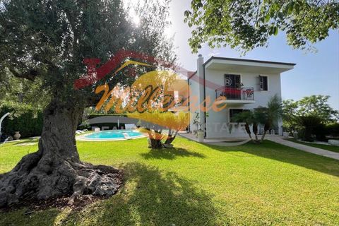 Villa i Siracusa, Siracusa, Siracusa - € 575.000 | Ref: RIF2012/575TREMMILIA - foto 2