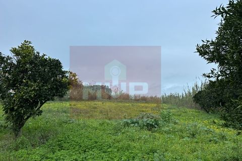 Helårsgrund i Quelfes, Faro, Quelfes - € 549.000 | Ref: 165260009 - foto 10