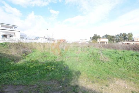 Helårsgrund i Nuoro, Nuoro, Nuoro - € 95.000 | Ref: 13914 - foto 8