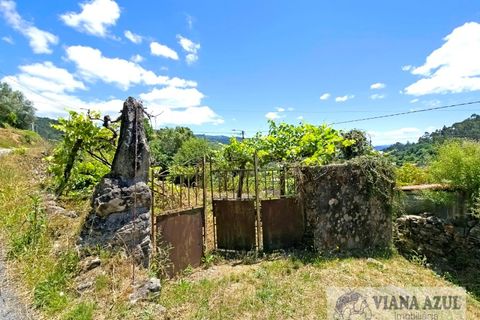 Farm i Ponte de Lima, Viana do Castelo, Ponte de Lima - € 45.000 | Ref: 2255 - foto 1