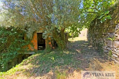 Farm i Ponte de Lima, Viana do Castelo, Ponte de Lima - € 45.000 | Ref: 2255 - foto 2