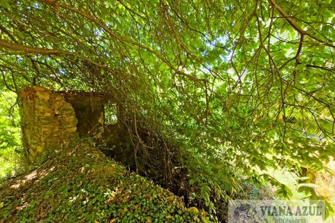 Farm i Ponte de Lima, Viana do Castelo, Ponte de Lima - € 45.000 | Ref: 2255 - foto 3
