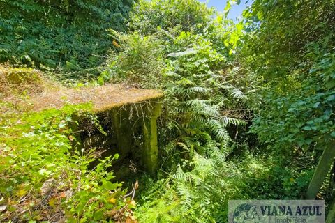 Farm i Ponte de Lima, Viana do Castelo, Ponte de Lima - € 45.000 | Ref: 2255 - foto 4