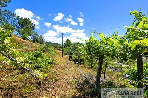 Farm i Ponte de Lima, Viana do Castelo, Ponte de Lima - € 45.000 | Ref: 2255 - foto 6