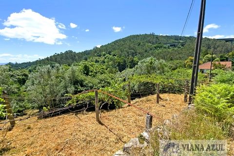 Farm i Ponte de Lima, Viana do Castelo, Ponte de Lima - € 45.000 | Ref: 2255 - foto 7