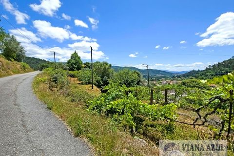 Farm i Ponte de Lima, Viana do Castelo, Ponte de Lima - € 45.000 | Ref: 2255 - foto 8