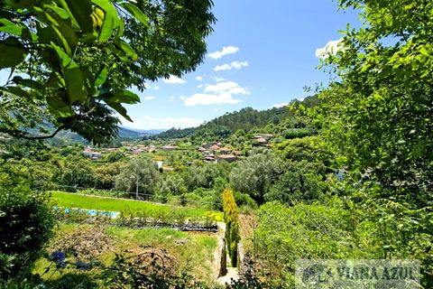 Farm i Ponte de Lima, Viana do Castelo, Ponte de Lima - € 45.000 | Ref: 2255 - foto 9