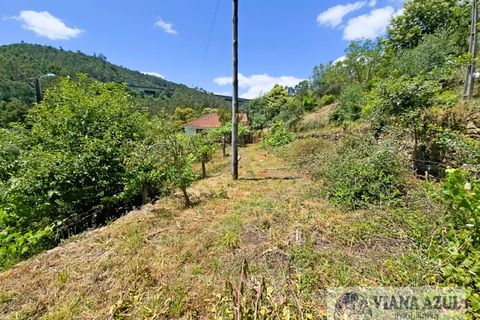 Farm i Ponte de Lima, Viana do Castelo, Ponte de Lima - € 45.000 | Ref: 2255 - foto 10