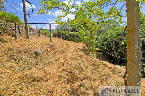 Farm i Ponte de Lima, Viana do Castelo, Ponte de Lima - € 45.000 | Ref: 2255 - foto 11