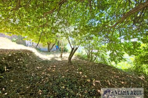 Farm i Ponte de Lima, Viana do Castelo, Ponte de Lima - € 45.000 | Ref: 2255 - foto 12