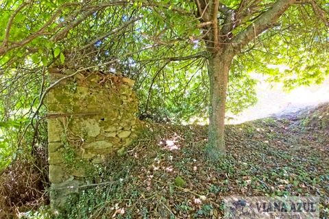 Farm i Ponte de Lima, Viana do Castelo, Ponte de Lima - € 45.000 | Ref: 2255 - foto 13