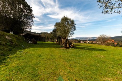 Farm i Ponte de Lima, Viana do Castelo, Ponte de Lima - € 750.000 | Ref: PTL-019-012 - foto 3