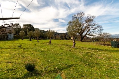 Farm i Ponte de Lima, Viana do Castelo, Ponte de Lima - € 750.000 | Ref: PTL-019-012 - foto 4