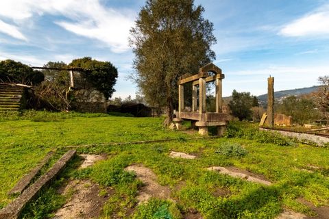 Farm i Ponte de Lima, Viana do Castelo, Ponte de Lima - € 750.000 | Ref: PTL-019-012 - foto 5