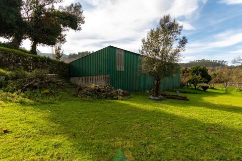 Farm i Ponte de Lima, Viana do Castelo, Ponte de Lima - € 750.000 | Ref: PTL-019-012 - foto 6