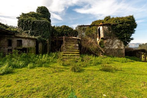 Farm i Ponte de Lima, Viana do Castelo, Ponte de Lima - € 750.000 | Ref: PTL-019-012 - foto 9