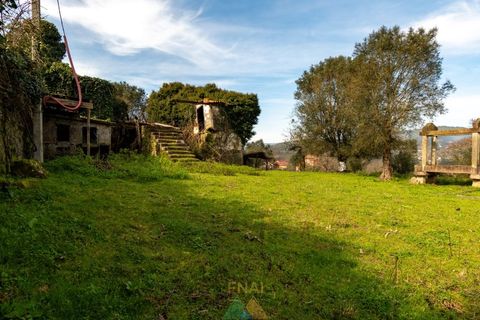 Farm i Ponte de Lima, Viana do Castelo, Ponte de Lima - € 750.000 | Ref: PTL-019-012 - foto 10