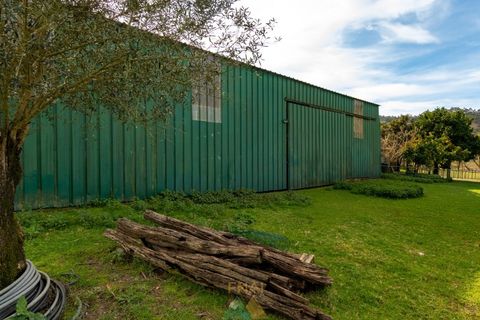 Farm i Ponte de Lima, Viana do Castelo, Ponte de Lima - € 750.000 | Ref: PTL-019-012 - foto 11