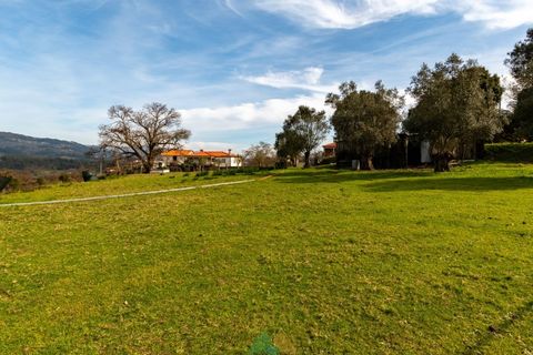 Farm i Ponte de Lima, Viana do Castelo, Ponte de Lima - € 750.000 | Ref: PTL-019-012 - foto 12