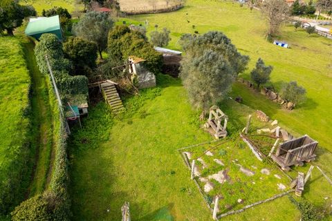 Farm i Ponte de Lima, Viana do Castelo, Ponte de Lima - € 750.000 | Ref: PTL-019-012 - foto 21