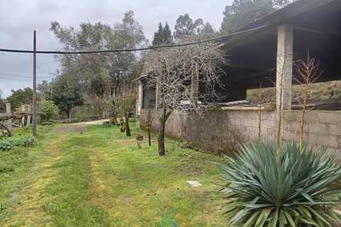 Landejendom i Fontoura, Viana do Castelo, Fontoura - € 212.500 | Ref: AVV-032-001 - foto 2