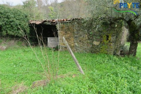 Helårsgrund i Serta, Castelo Branco, Serta - € 19.000 | Ref: VF329 - foto 1