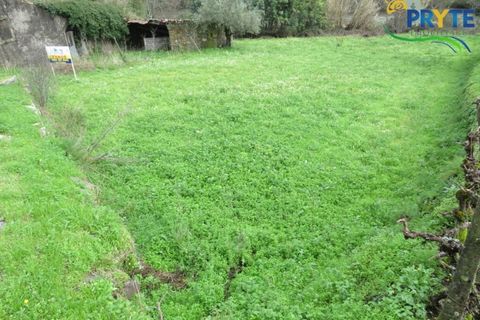 Helårsgrund i Serta, Castelo Branco, Serta - € 19.000 | Ref: VF329 - foto 5