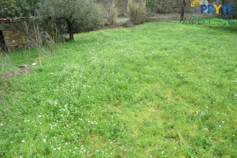 Helårsgrund i Serta, Castelo Branco, Serta - € 19.000 | Ref: VF329 - foto 7