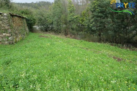 Helårsgrund i Serta, Castelo Branco, Serta - € 19.000 | Ref: VF329 - foto 9