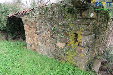 Helårsgrund i Serta, Castelo Branco, Serta - € 19.000 | Ref: VF329 - foto 13