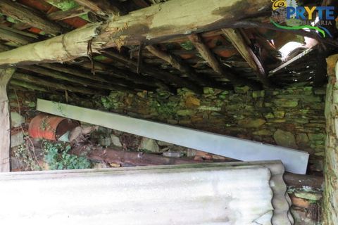 Helårsgrund i Serta, Castelo Branco, Serta - € 19.000 | Ref: VF329 - foto 16