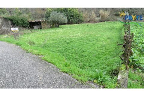 Helårsgrund i Serta, Castelo Branco, Serta - € 19.000 | Ref: VF329 - foto 17
