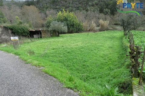 Helårsgrund i Serta, Castelo Branco, Serta - € 19.000 | Ref: VF329 - foto 19