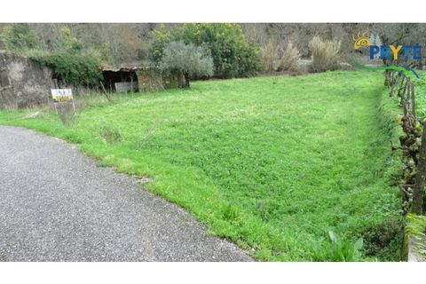 Helårsgrund i Serta, Castelo Branco, Serta - € 19.000 | Ref: VF329 - foto 20