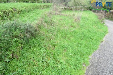 Helårsgrund i Serta, Castelo Branco, Serta - € 19.000 | Ref: VF329 - foto 21