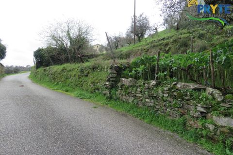Helårsgrund i Serta, Castelo Branco, Serta - € 19.000 | Ref: VF329 - foto 22