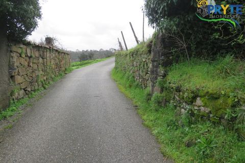 Helårsgrund i Serta, Castelo Branco, Serta - € 19.000 | Ref: VF329 - foto 23