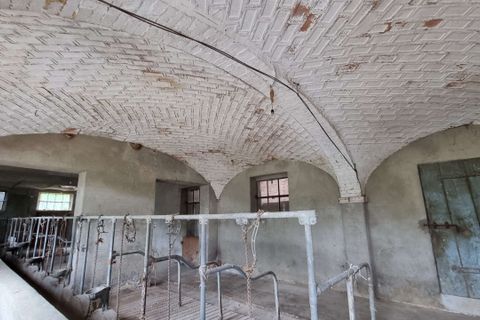 Landejendom i Belveglio, Asti, Belveglio - € 145.000 | Ref: RP-853888-853888 - foto 3