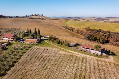 Farm hus i Monteroni d'Arbia, Siena, Monteroni d'Arbia - € 1.950.000 | Ref: VAL252-854351 - foto 3