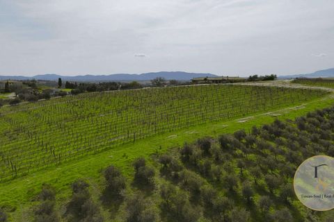 Villa i Preselle, Grosseto, Preselle - € 2.900.000 | Ref: GRO281-854478 - foto 1