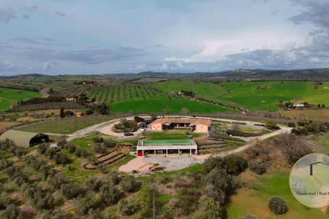 Villa i Preselle, Grosseto, Preselle - € 2.900.000 | Ref: GRO281-854478 - foto 4