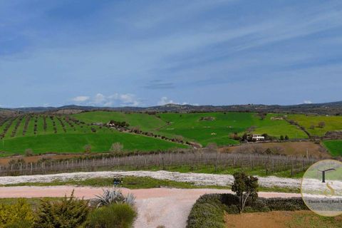 Villa i Preselle, Grosseto, Preselle - € 2.900.000 | Ref: GRO281-854478 - foto 18