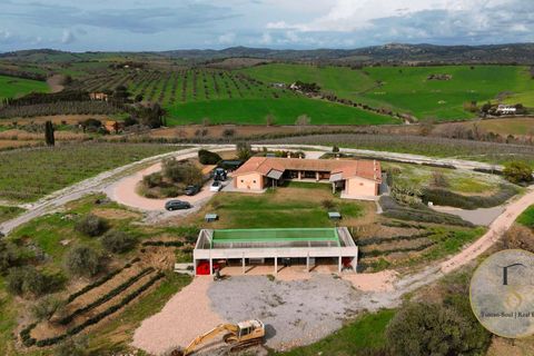 Villa i Preselle, Grosseto, Preselle - € 2.900.000 | Ref: GRO281-854478 - foto 22